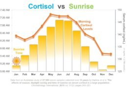 Cortisol