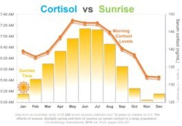 Cortisol: La nota en diferentes medios